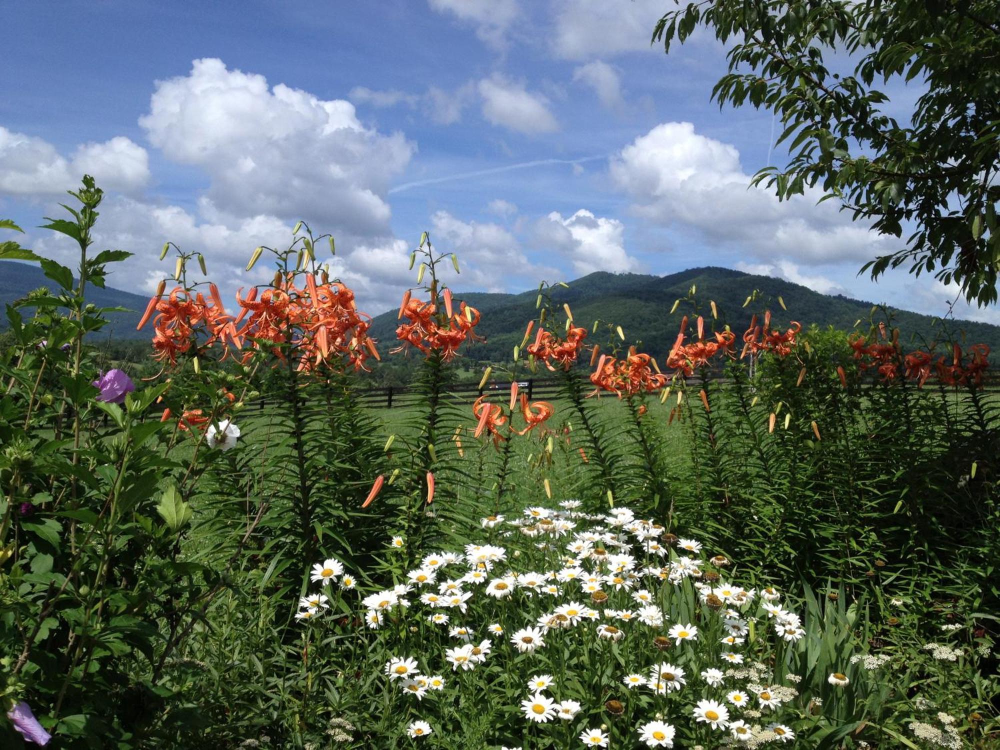 Montfair Resort Farm Crozet Kültér fotó
