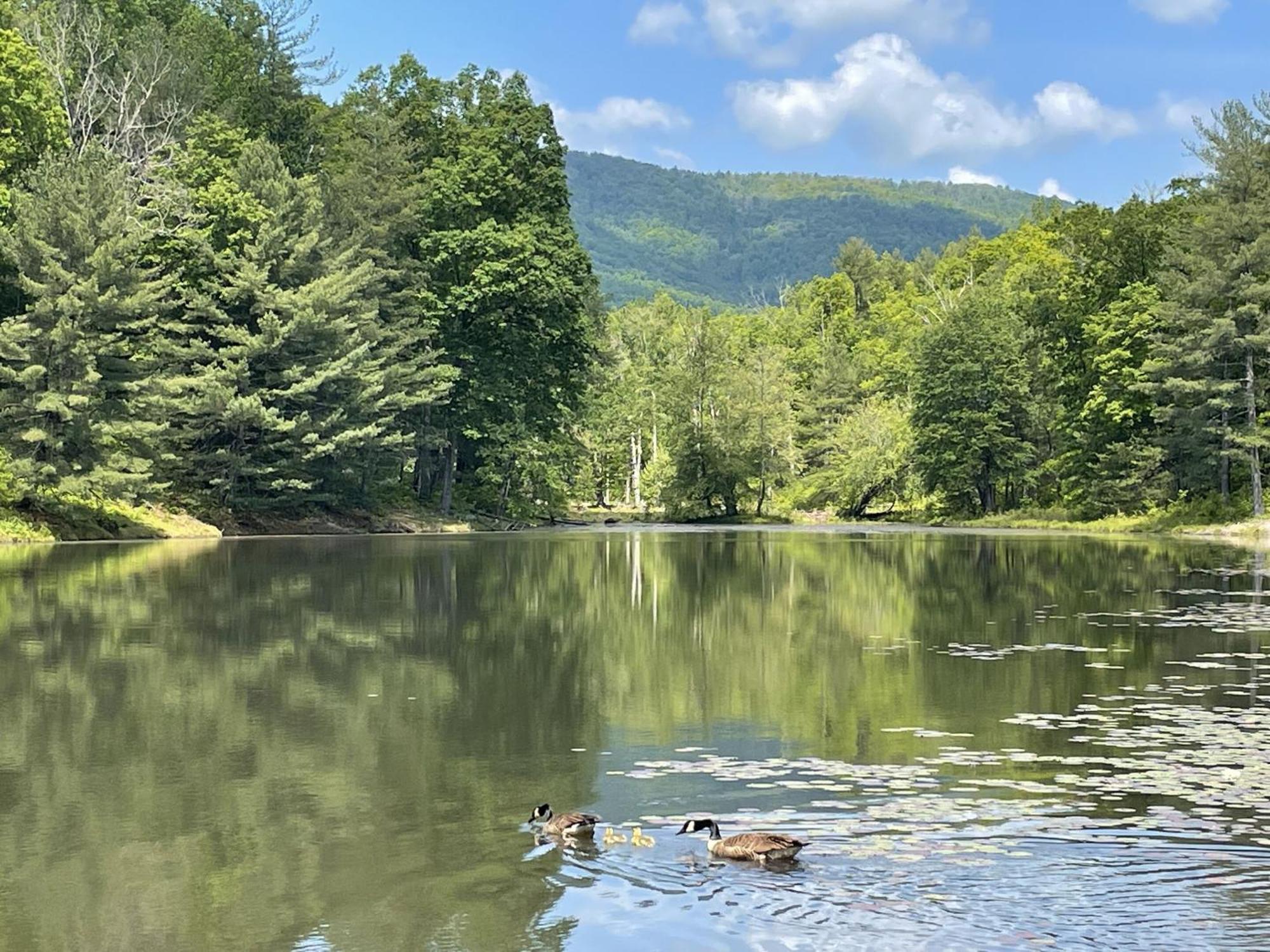 Montfair Resort Farm Crozet Kültér fotó