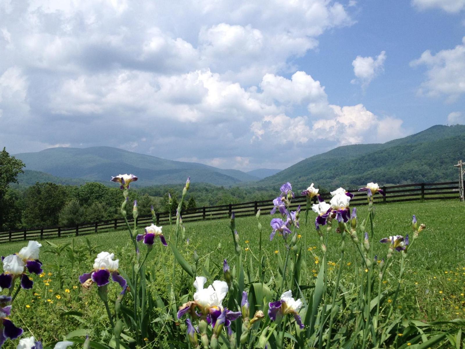 Montfair Resort Farm Crozet Szoba fotó